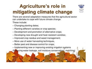 Effect of climate change on agriculture A Presentation By Mr Allah Dad ...