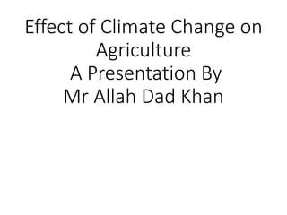 Effect of climate change on agriculture A Presentation By Mr Allah Dad ...