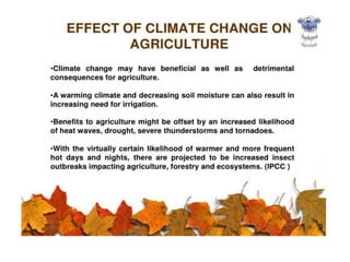 Effect of climate change on agriculture A Presentation By Mr Allah Dad ...