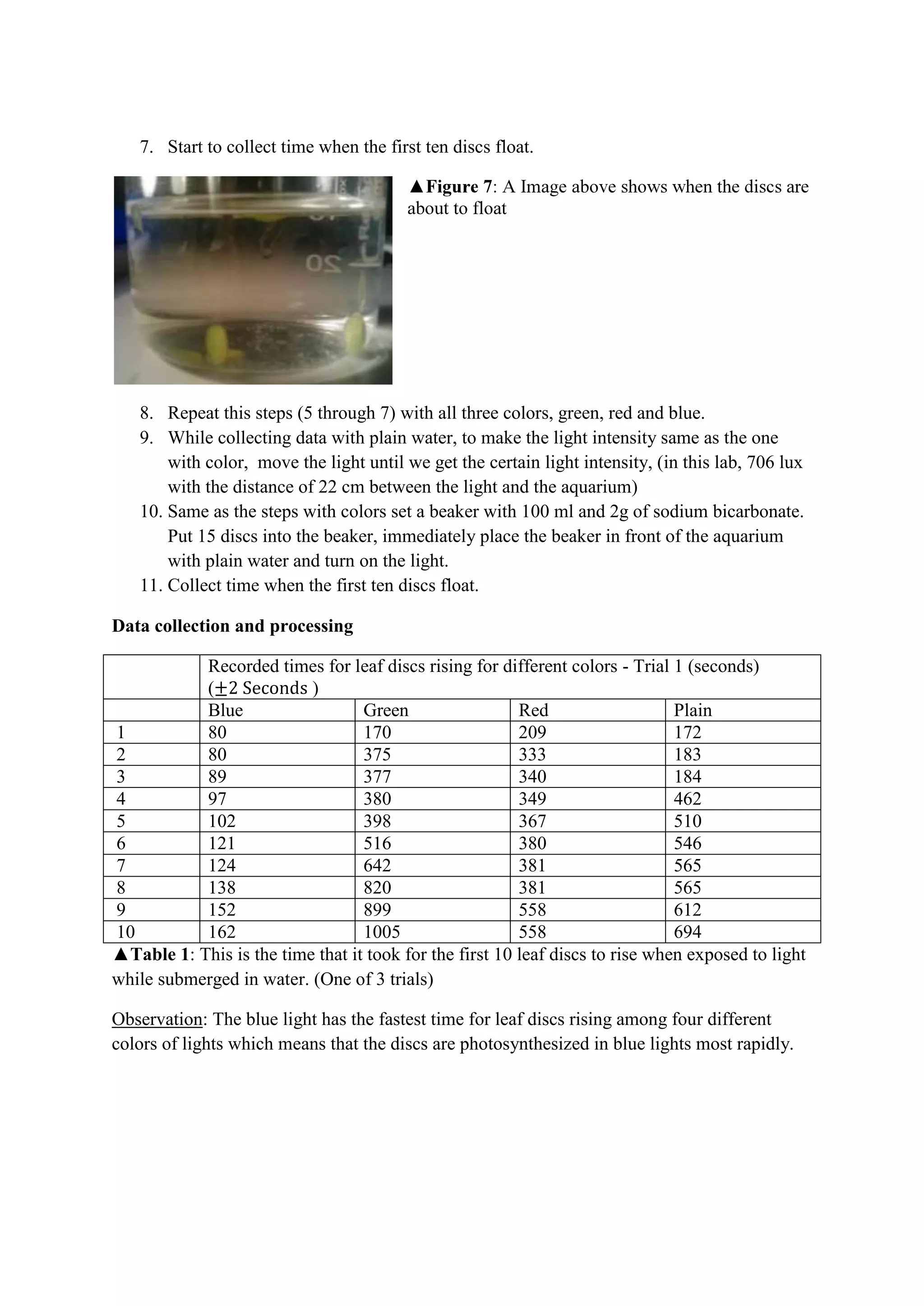 7. Start to collect time when the first ten discs float.




   8. Repeat this steps (5 through 7) with all three colors, green, red and blue.
   9. While collecting data with plain water, to make the light intensity same as the one
       with color, move the light until we get the certain light intensity, (in this lab, 706 lux
       with the distance of 22 cm between the light and the aquarium)
   10. Same as the steps with colors set a beaker with 100 ml and 2g of sodium bicarbonate.
       Put 15 discs into the beaker, immediately place the beaker in front of the aquarium
       with plain water and turn on the light.
   11. Collect time when the first ten discs float.

Data collection and processing

           Recorded times for leaf discs rising for different colors - Trial 1 (seconds)
           (              )
           Blue                   Green                  Red                   Plain
1          80                     170                    209                   172
2          80                     375                    333                   183
3          89                     377                    340                   184
4          97                     380                    349                   462
5          102                    398                    367                   510
6          121                    516                    380                   546
7          124                    642                    381                   565
8          138                    820                    381                   565
9          152                    899                    558                   612
10         162                    1005                   558                   694
▲Table 1: This is the time that it took for the first 10 leaf discs to rise when exposed to light
while submerged in water. (One of 3 trials)

Observation: The blue light has the fastest time for leaf discs rising among four different
colors of lights which means that the discs are photosynthesized in blue lights most rapidly.
 