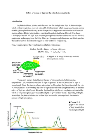 Effect of colour of light on the rate of photosynthesis



Introduction

        In photosynthesis, plants, some bacteria use the energy from light to produce sugar,
which cellular respiration converts into ATP. While animals inhale oxygenand exhale carbon
dioxide, green plants are the only plants that produce oxygen and make food which is called
photosynthesis. Photosynthesis takes place in chloroplasts that have chlorophyll in them.
Chlorophyll absorbs the light from sun and green plants combine carbon dioxide and water to
make sugar and oxygen from the light. There are tiny pores called stomata and this is used as
the road for carbon dioxide and oxygen to enter and leave respectively.

Thus, we can express the overall reaction of photosynthesis as:




                                               ▲        1: A image that shows how the
                                               photosynthesis works.




        There are 4 matters that affect on the rate of photosynthesis, light intensity,
temperature, CO2, water and the color of light in general. In this lab, the color of light is
investigated. Since the photosynthesis takes place in chloroplast that has chlorophyll, the rate
of photosynthesis is affected by the color of light as the amounts of light absorbed in different
colors of light are all different. The color that has highest influence on photosynthesis is blue
which is why many plant growers use blue lights to grow indoor plants. Secondly, red light
is next best for photosynthesis and yellow light is worst for photosynthesis due to their
amount of light absorption.

                                                                            ▲          2: A
                                                                            graph of the amount
                                                                            of light absorbed vs
                                                                            wavelength of light
 