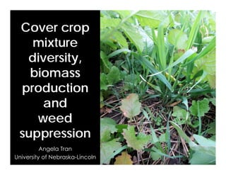Cover crop
mixture
diversity,
biomass
production
and
weed
suppression
Angela Tran
University of Nebraska-Lincoln
 