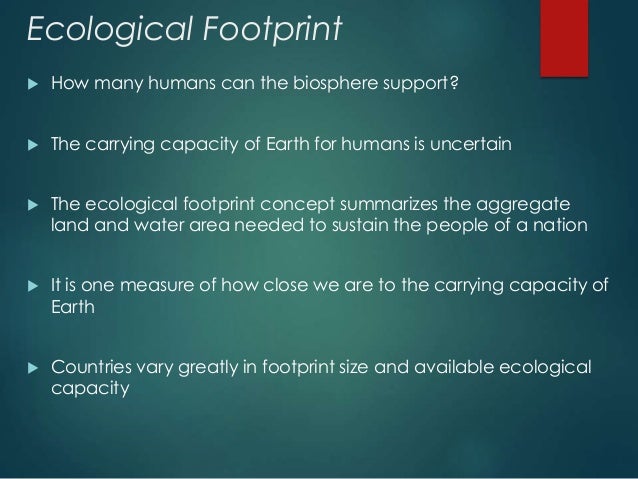 effects of development on environment essays effects of development on environment essays