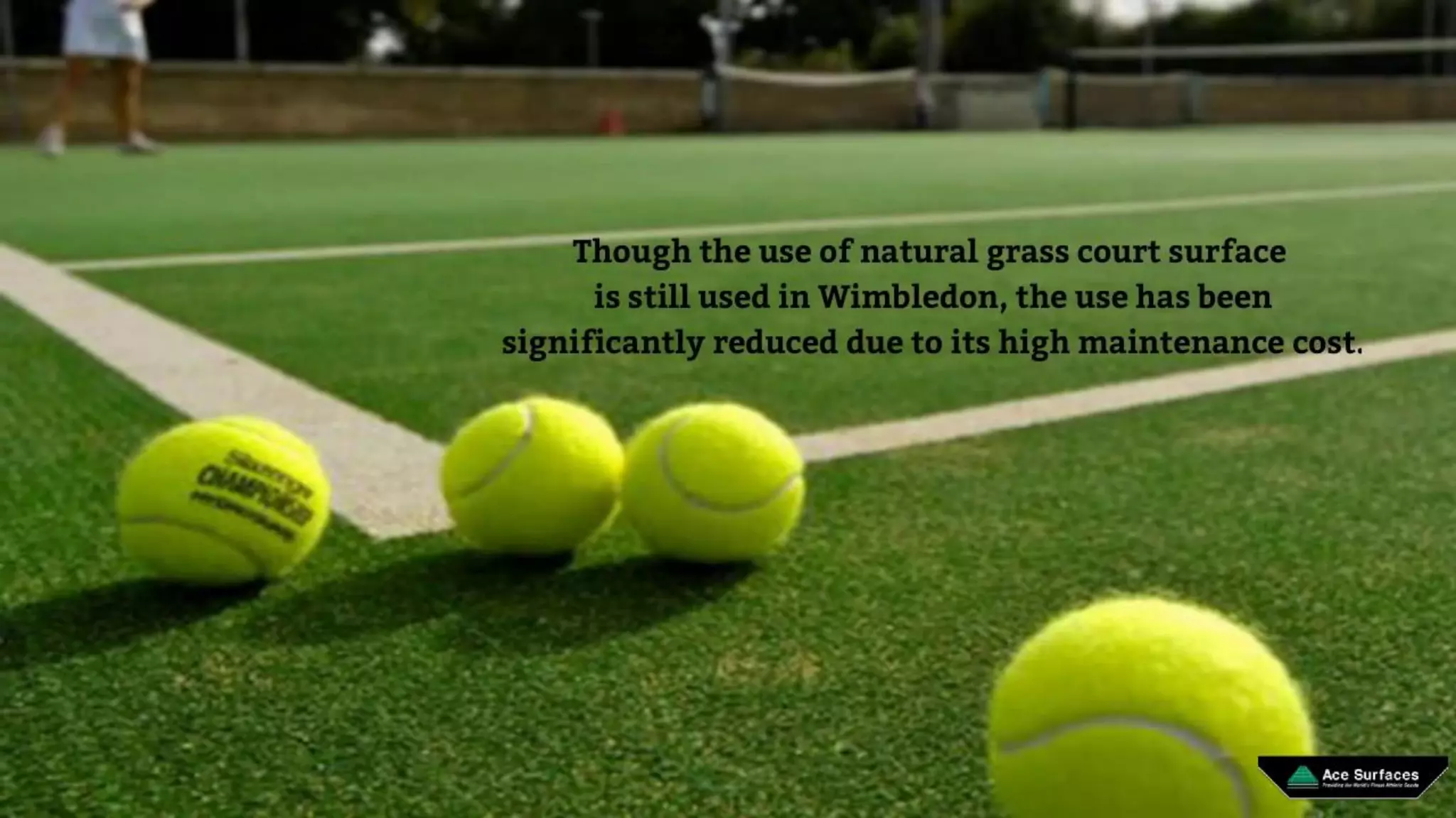 Effect Of Different Surfaces On The Game Of Tennis