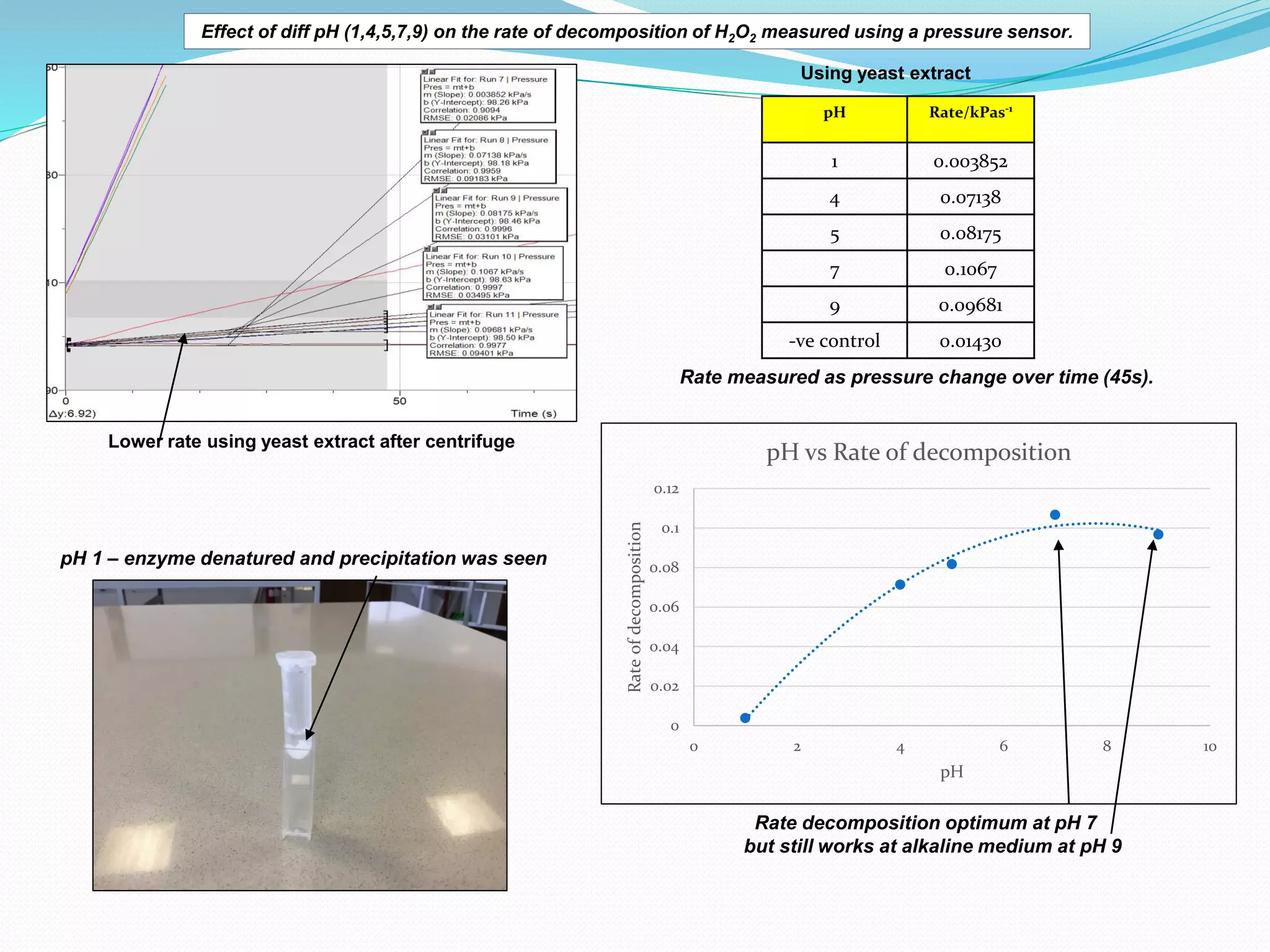 Rate measured as pressure change over time (45s).
Lower rate using yeast extract after centrifuge
Effect of diff pH (1,4,5,7,9) on the rate of decomposition of H2O2 measured using a pressure sensor.
pH Rate/kPas-1
1 0.003852
4 0.07138
5 0.08175
7 0.1067
9 0.09681
-ve control 0.01430
Using yeast extract
0
0.02
0.04
0.06
0.08
0.1
0.12
0 2 4 6 8 10
Rate
of
decomposition
pH
pH vs Rate of decomposition
Rate decomposition optimum at pH 7
but still works at alkaline medium at pH 9
pH 1 – enzyme denatured and precipitation was seen
 