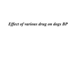 Effect of various drug on dogs BP
 