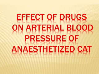 EFFECT OF DRUGS
ON ARTERIAL BLOOD
PRESSURE OF
ANAESTHETIZED CAT
 