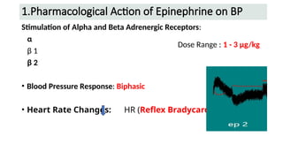 Effect of Drugs on BP using CAL(Dr Shreedhar Angadi).pptx