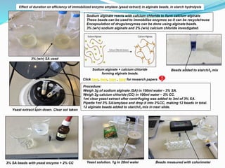Effect of duration on efficiency of immobilized enzyme amylase (yeast extract) in alginate beads, in starch hydrolysis
Sodium alginate reacts with calcium chloride to form calcium alginate
These beads can be used to immobilise enzymes so it can be recycle/reuse
Encapsulation of drugs/enzymes can be done using alginate beads.
3% (w/v) sodium alginate and 2% (w/v) calcium chloride investigated.
Sodium alginate + calcium chloride
forming alginate beads.
Procedure:
Weigh 3g of sodium alginate (SA) in 100ml water - 3% SA.
Weigh 2g calcium chloride (CC) in 100ml water – 2% CC.
1ml clear yeast extract after centrifuging was added to 3ml of 3% SA.
Pipette 1ml 3% SA/amylase and drop it into 2%CC, making 12 beads in total.
12 alginate beads added to starch/I2 mix in next slide.
Click here, here, here , here for research papers
3% (w/v) SA used
Yeast extract spin down. Clear sol taken
Yeast solution. 1g in 20ml water Beads measured with colorimeter
3% SA beads with yeast enzyme + 2% CC
Beads added to starch/I2 mix
 