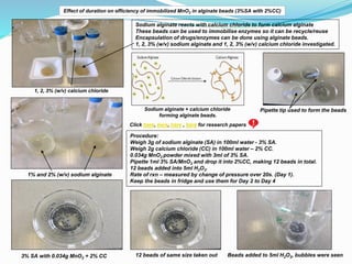 Effect of duration on efficiency of immobilized MnO2 in alginate beads (3%SA with 2%CC)
Sodium alginate reacts with calcium chloride to form calcium alginate
These beads can be used to immobilise enzymes so it can be recycle/reuse
Encapsulation of drugs/enzymes can be done using alginate beads.
1, 2, 3% (w/v) sodium alginate and 1, 2, 3% (w/v) calcium chloride investigated.
Sodium alginate + calcium chloride
forming alginate beads.
Procedure:
Weigh 3g of sodium alginate (SA) in 100ml water - 3% SA.
Weigh 2g calcium chloride (CC) in 100ml water – 2% CC.
0.034g MnO2 powder mixed with 3ml of 3% SA.
Pipette 1ml 3% SA/MnO2 and drop it into 2%CC, making 12 beads in total.
12 beads added into 5ml H2O2.
Rate of rxn – measured by change of pressure over 20s. (Day 1).
Keep the beads in fridge and use them for Day 2 to Day 4
Click here, here, here , here for research papers
1, 2, 3% (w/v) calcium chloride
1% and 2% (w/v) sodium alginate
12 beads of same size taken out Beads added to 5ml H2O2, bubbles were seen
3% SA with 0.034g MnO2 + 2% CC
Pipette tip used to form the beads
 