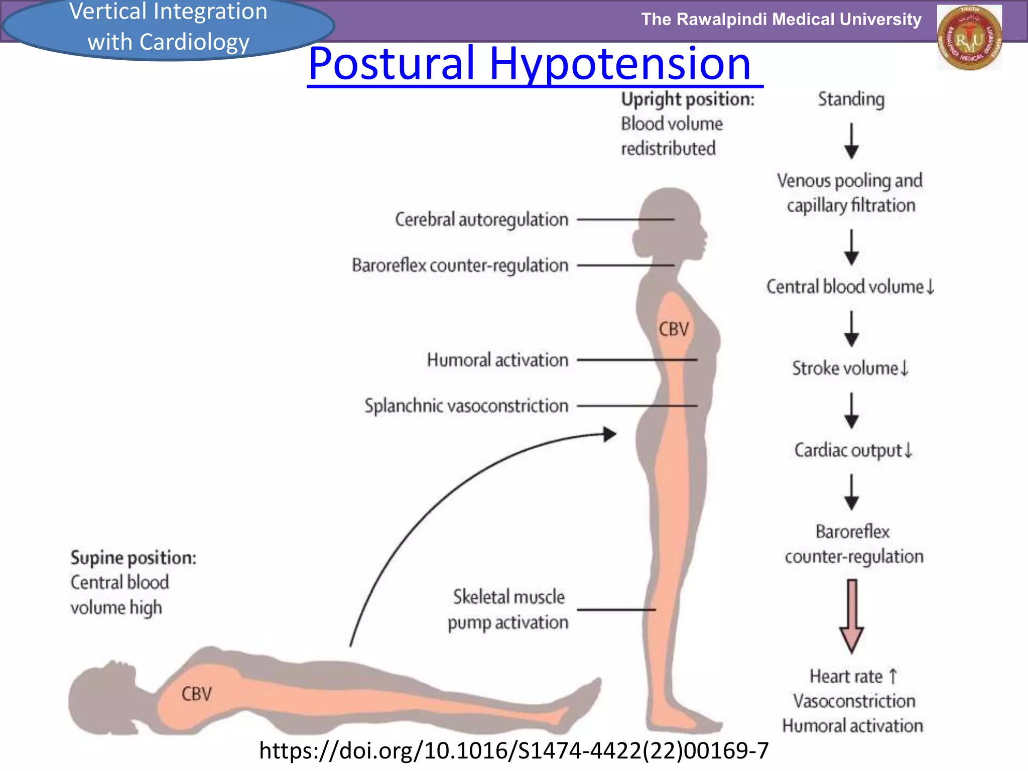 Effect of exercise and posture on BP_Corrected by Prof Dr Samia.pptx