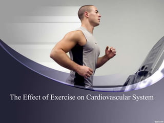 The Effect of Exercise on Cardiovascular System
 