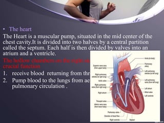 • The heart
The Heart is a muscular pump, situated in the mid center of the
chest cavity.It is divided into two halves by a central partition
called the septum. Each half is then divided by valves into an
atrium and a ventricle.
The hollow chambers on the right side of the heart perform two
crucial function
1. receive blood returning from throughout the body.
2. Pump blood to the lungs from aeration through the
pulmonary circulation .
 