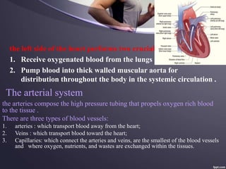 The arterial system
the left side of the heart performs two crucial function :-
1. Receive oxygenated blood from the lungs .
2. Pump blood into thick walled muscular aorta for
distribution throughout the body in the systemic circulation .
the arteries compose the high pressure tubing that propels oxygen rich blood
to the tissue .
There are three types of blood vessels:
1. arteries : which transport blood away from the heart;
2. Veins : which transport blood toward the heart;
3. Capillaries: which connect the arteries and veins, are the smallest of the blood vessels
and where oxygen, nutrients, and wastes are exchanged within the tissues.
 