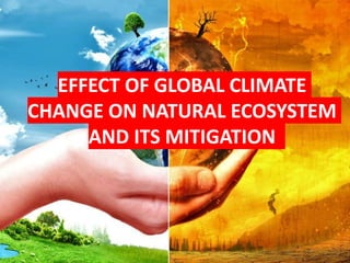 ss
EFFECT OF GLOBAL CLIMATE
CHANGE ON NATURAL ECOSYSTEM
AND ITS MITIGATION
 
