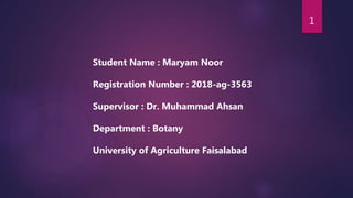 Student Name : Maryam Noor
Registration Number : 2018-ag-3563
Supervisor : Dr. Muhammad Ahsan
Department : Botany
University of Agriculture Faisalabad
1
 