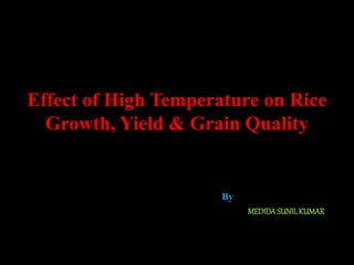 Effect of High Temperature on Rice 
Growth, Yield & Grain Quality 
By 
MEDIDA SUNIL KUMAR 
 