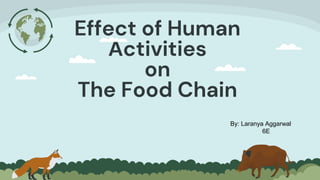 Effect of Human
Activities
on
The Food Chain
By: Laranya Aggarwal
6E
 