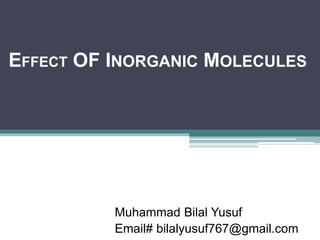 EFFECT OF INORGANIC MOLECULES
Muhammad Bilal Yusuf
Email# bilalyusuf767@gmail.com
 