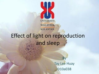 Effect of light on reproduction
            and sleep

                       By
                  Tay Lee Huay
                    D10a038
 