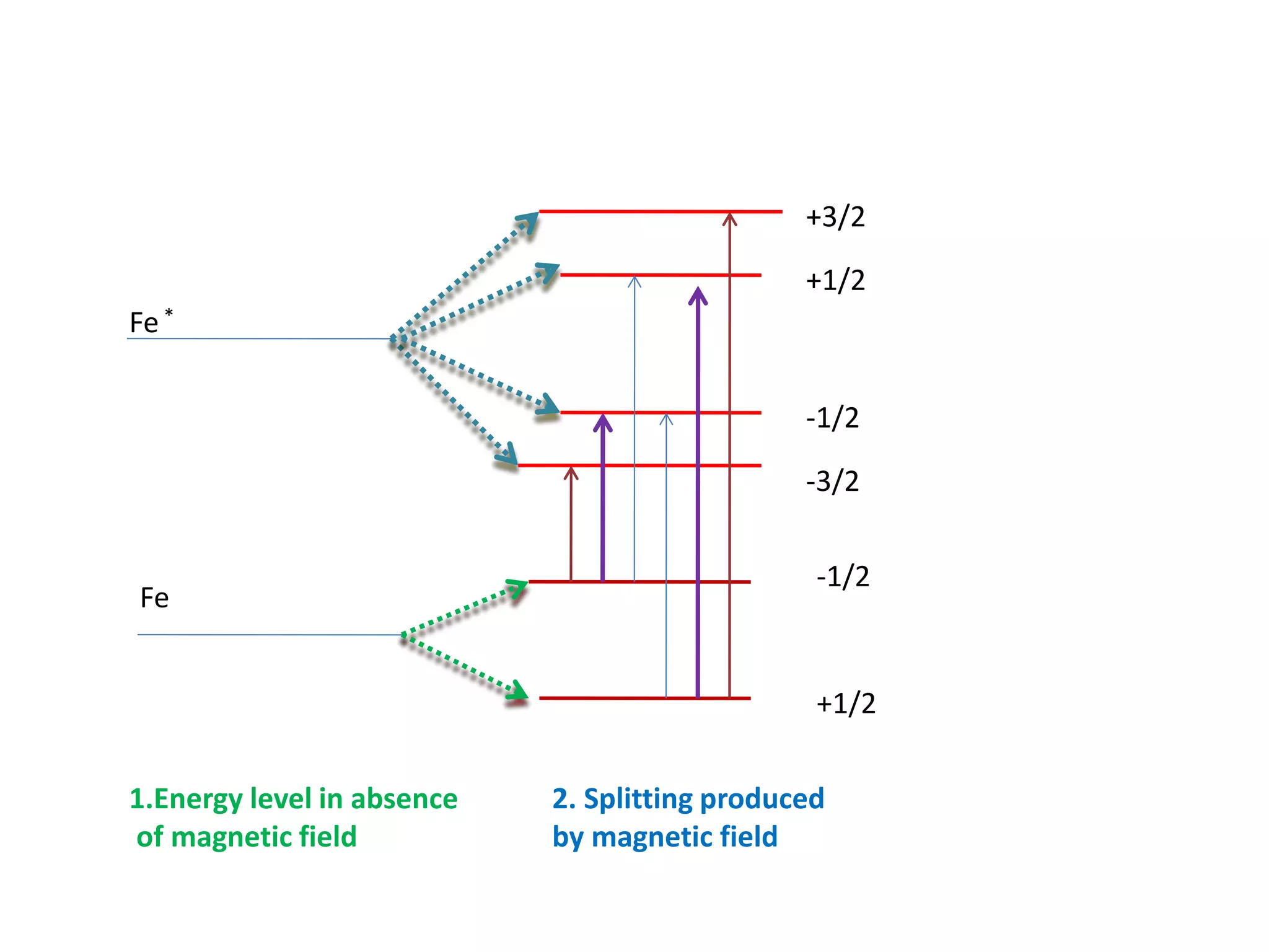 Fe*
Fe
+3/2
-3/2
-1/2
+1/2
-1/2
+1/2
1.Energy level in absence
of magnetic field
2. Splitting produced
by magnetic field
 