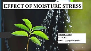 EFFECT OF MOISTURE STRESS
PRESENTED BY:
S. ARUNA
I M.Sc., (Agri.) AGRONOMY
 