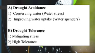 A) Drought Avoidance
1) Conserving water (Water stress)
2) Improving water uptake (Water spenders)
B) Drought Tolerance
1) Mitigating stress
2) High Tolerance
 