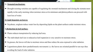 1) Stomatal mechanism:
 Drought resisting varieities are capable of regulating the stomatal mechanism and closing the stomata more
rapidly in the early morning when moisture stress at its minimum and photosynthesis can proceed with
least loss of water.
2) Lipid deposists on leaves:
 Soyabean, sorghum reduce water loss by depositing lipids on the plant surfaces under moisture stress.
3) Reduction in leaf surface:
 Plants reduces transpiration by reducing leaf area.
 The individuals leaf size is reduced as leaf expansion is very sensitive to moisture stress.
 In grasses, the leaves roll due to moisture stress and thus reduce the area exposed to solar radiation.
 Leguminous plants show parahelionastic movements i.e. the leaves are oriented parallel to sun rays thus
avoiding the load of solar radiation.
 