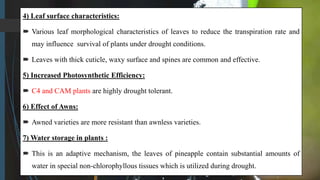 4) Leaf surface characteristics:
 Various leaf morphological characteristics of leaves to reduce the transpiration rate and
may influence survival of plants under drought conditions.
 Leaves with thick cuticle, waxy surface and spines are common and effective.
5) Increased Photosynthetic Efficiency:
 C4 and CAM plants are highly drought tolerant.
6) Effect of Awns:
 Awned varieties are more resistant than awnless varieties.
7) Water storage in plants :
 This is an adaptive mechanism, the leaves of pineapple contain substantial amounts of
water in special non-chlorophyllous tissues which is utilized during drought.
 