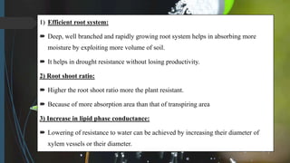 1) Efficient root system:
 Deep, well branched and rapidly growing root system helps in absorbing more
moisture by exploiting more volume of soil.
 It helps in drought resistance without losing productivity.
2) Root shoot ratio:
 Higher the root shoot ratio more the plant resistant.
 Because of more absorption area than that of transpiring area
3) Increase in lipid phase conductance:
 Lowering of resistance to water can be achieved by increasing their diameter of
xylem vessels or their diameter.
 