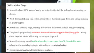 (A)Harmful to Crops
 Normally about 80 % roots of a crop are in the first foot of the soil and the remaining go
deeper.
 With deep rooted crop like cotton, orchard trees their roots deep down and utilize moisture
at greater depths.
 At the field capacity stage, the crop draws water easily from the soil and grows rapidly.
 The growth progressively decreases as the soil moisture approaches wilting point. It may
cause moisture stress, which may encourage root growth.
 Normally the crop should not be allowed to extract more than 50 % available water
otherwise the plants beginning to wilt and their growth is checked.
 High moisture level develops tenderness in plants.
 