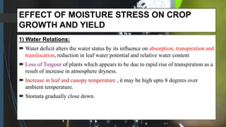 EFFECT OF MOISTURE STRESS ON CROP
GROWTH AND YIELD
1) Water Relations:
 Water deficit alters the water status by its influence on absorption, transpiration and
translocation, reduction in leaf water potential and relative water content
 Loss of Turgour of plants which appears to be due to rapid rise of transpiration as a
result of increase in atmosphere dryness.
 Increase in leaf and canopy temperature , it may be high upto 8 degrees over
ambient temperature.
 Stomata gradually close down.
 