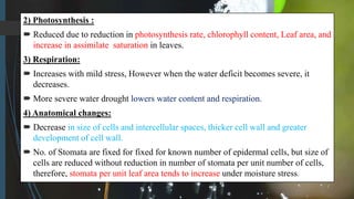 2) Photosynthesis :
 Reduced due to reduction in photosynthesis rate, chlorophyll content, Leaf area, and
increase in assimilate saturation in leaves.
3) Respiration:
 Increases with mild stress, However when the water deficit becomes severe, it
decreases.
 More severe water drought lowers water content and respiration.
4) Anatomical changes:
 Decrease in size of cells and intercellular spaces, thicker cell wall and greater
development of cell wall.
 No. of Stomata are fixed for fixed for known number of epidermal cells, but size of
cells are reduced without reduction in number of stomata per unit number of cells,
therefore, stomata per unit leaf area tends to increase under moisture stress.
 