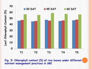 0
10
20
30
40
50
60
70
T1 T2 T3 T4 T5
LeafChlorophyllContent(%)
30 DAT 45 DAT 60 DAT
Fig. 5: Chlorophyll content (%) of rice leaves under different
nutrient management practices in SRI
 