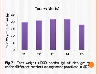 0
5
10
15
20
25
T1 T2 T3 T4 T5
TestWeightofGrains(g)
Test weight (g)
Fig.7: Test weight (1000 seeds) (g) of rice grains
under different nutrient management practices in SRI
 