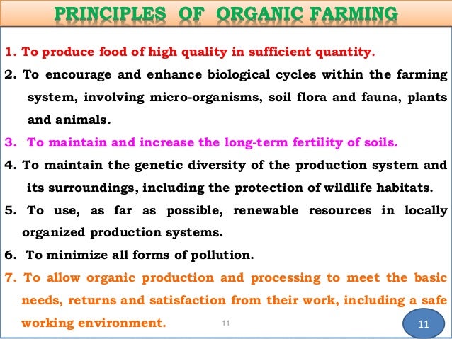 essay about weather condition news