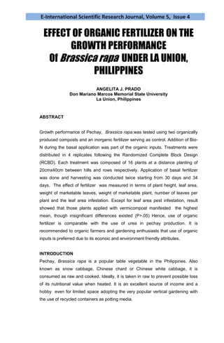 E-International Scientific Research Journal, Volume 5, Issue 4
EFFECT OF ORGANIC FERTILIZER ON THE
GROWTH PERFORMANCE
Of Brassica rapa UNDER LA UNION,
PHILIPPINES
ANGELITA J. PRADO
Don Mariano Marcos Memorial State University
La Union, Philippines
ABSTRACT
Growth performance of Pechay, Brassica rapa,was tested using two organically
produced composts and an inorganic fertilizer serving as control. Addition of Bio-
N during the basal application was part of the organic inputs. Treatments were
distributed in 4 replicates following the Randomized Complete Block Design
(RCBD). Each treatment was composed of 16 plants at a distance planting of
20cmx40cm between hills and rows respectively. Application of basal fertilizer
was done and harvesting was conducted twice starting from 30 days and 34
days. The effect of fertilizer was measured in terms of plant height, leaf area,
weight of marketable leaves, weight of marketable plant, number of leaves per
plant and the leaf area infestation. Except for leaf area pest infestation, result
showed that those plants applied with vermicompost manifested the highest
mean, though insignificant differences existed (P>.05) Hence, use of organic
fertilizer is comparable with the use of urea in pechay production. It is
recommended to organic farmers and gardening enthusiasts that use of organic
inputs is preferred due to its econoic and environment friendly attributes.
INTRODUCTION
Pechay, Brassica rapa is a popular table vegetable in the Philippines. Also
known as snow cabbage, Chinese chard or Chinese white cabbage, it is
consumed as raw and cooked. Ideally, it is taken in raw to prevent possible loss
of its nutritional value when heated. It is an excellent source of income and a
hobby even for limited space adopting the very popular vertical gardening with
the use of recycled containers as potting media.
 