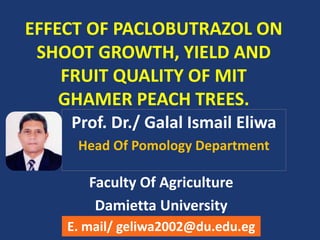 EFFECT OF PACLOBUTRAZOL ON
SHOOT GROWTH, YIELD AND
FRUIT QUALITY OF MIT
GHAMER PEACH TREES.
Prof. Dr./ Galal Ismail Eliwa
Head Of Pomology Department
Faculty Of Agriculture
Damietta University
E. mail/ geliwa2002@du.edu.eg
 