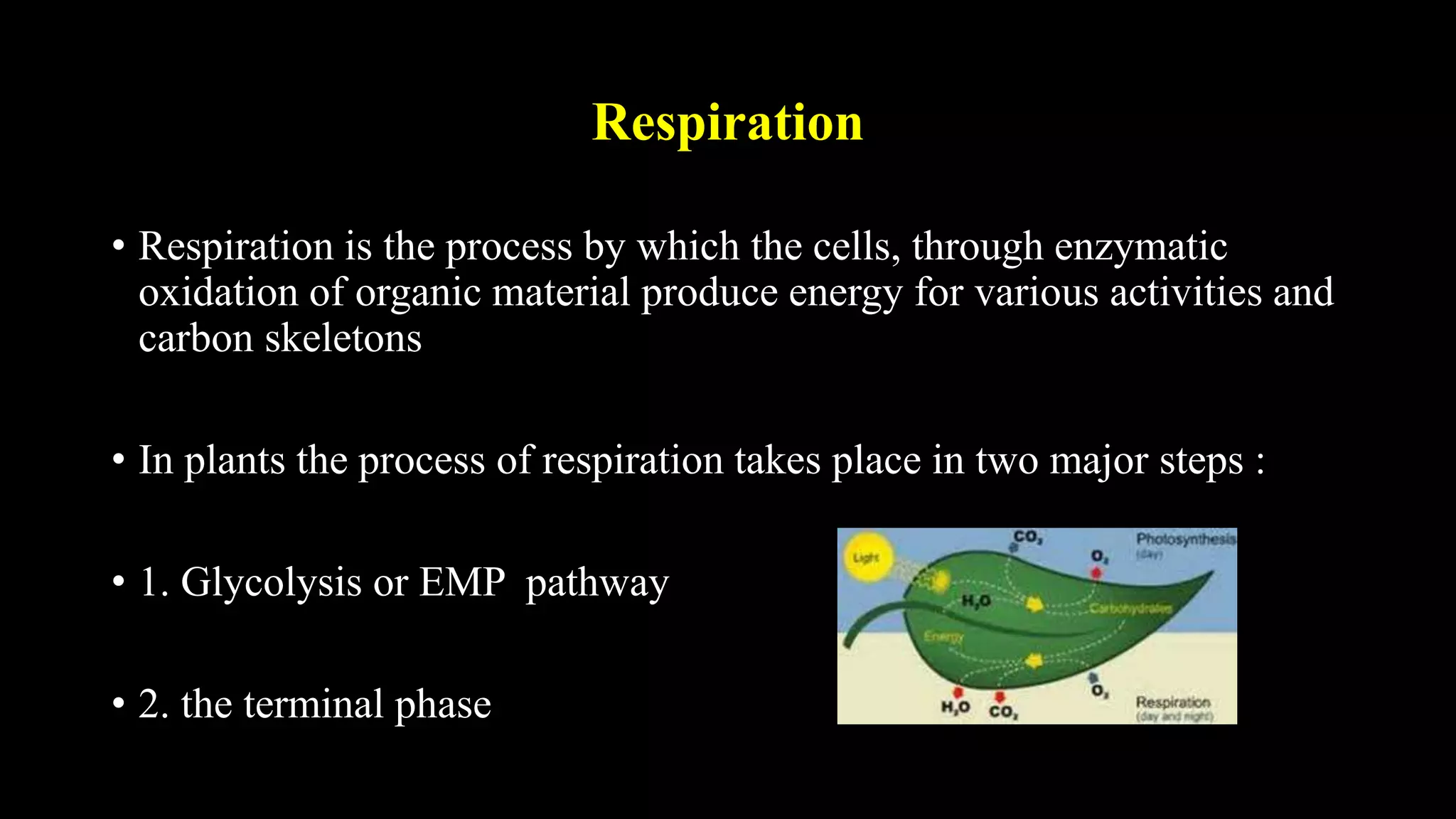 Respiration
• Respiration is the process by which the cells, through enzymatic
oxidation of organic material produce energy for various activities and
carbon skeletons
• In plants the process of respiration takes place in two major steps :
• 1. Glycolysis or EMP pathway
• 2. the terminal phase
 
