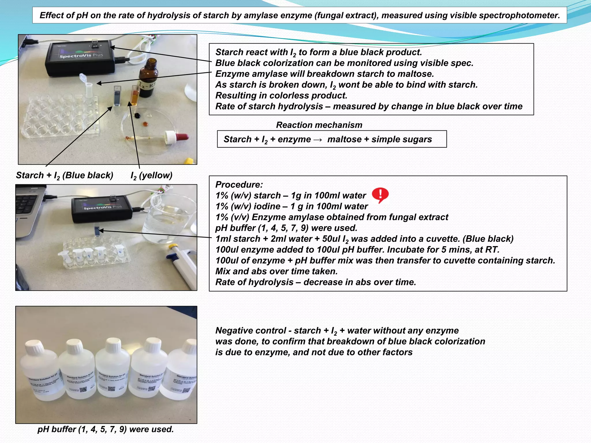 IA on effect of pH on the rate of hydrolysis of starch by amylase ...