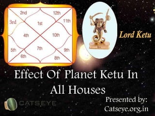 Effect of planet ketu in all houses