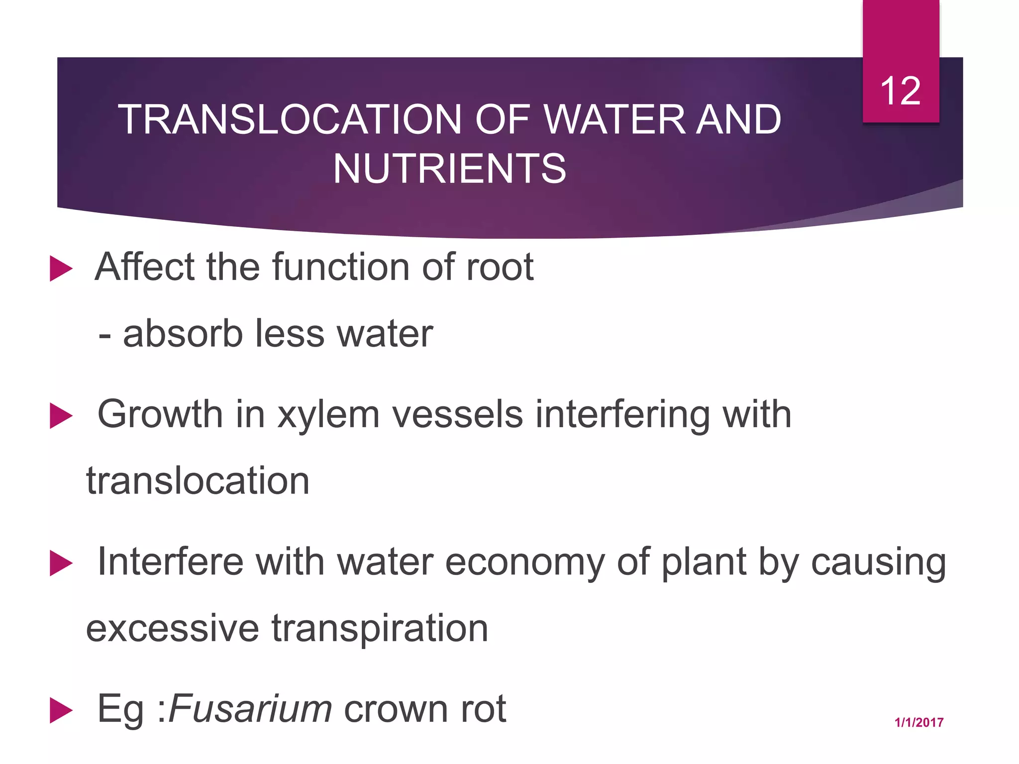 TRANSLOCATION OF WATER AND
NUTRIENTS
 Affect the function of root
- absorb less water
 Growth in xylem vessels interfering with
translocation
 Interfere with water economy of plant by causing
excessive transpiration
 Eg :Fusarium crown rot 1/1/2017
12
 