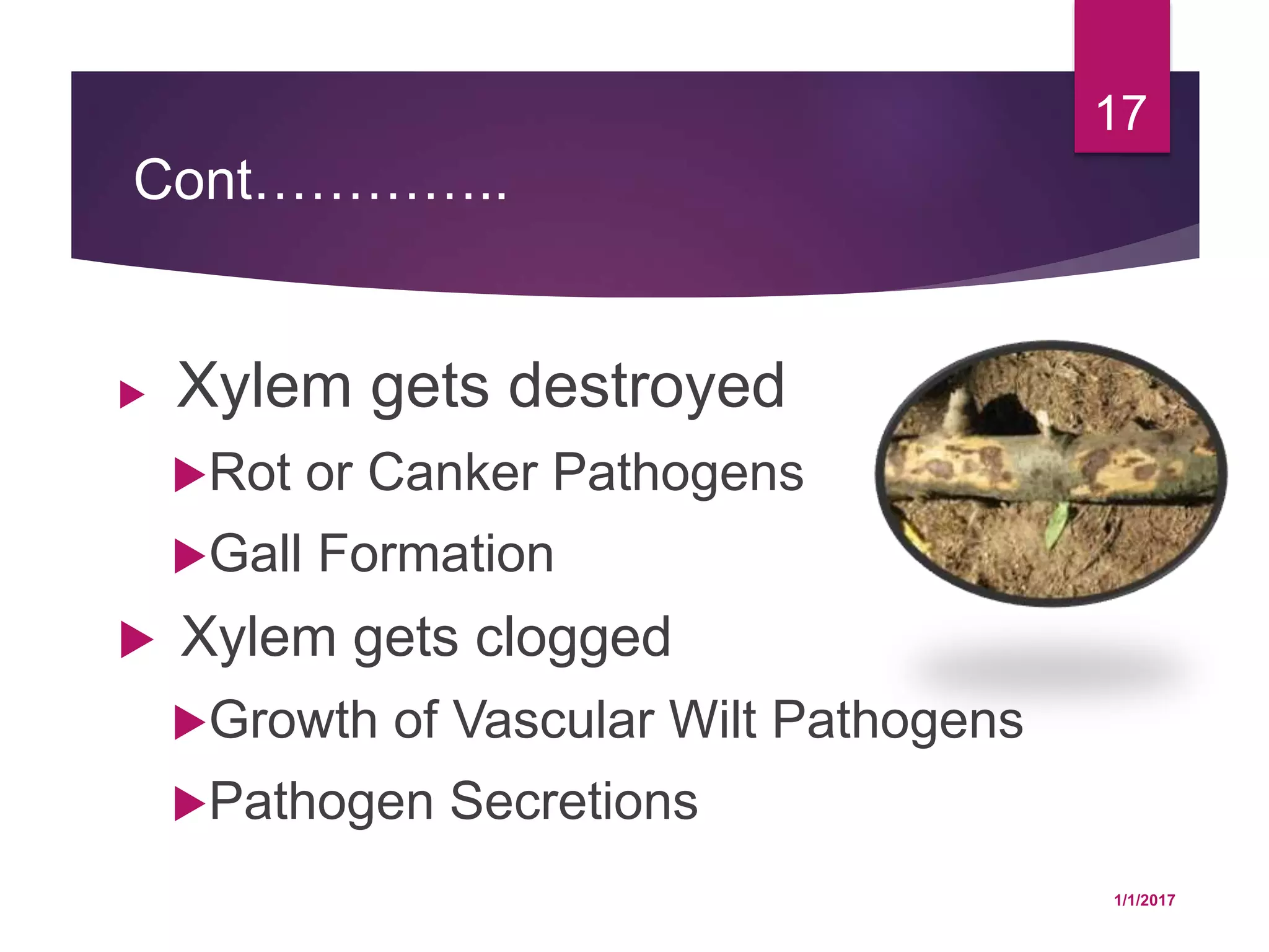 Cont…………..
 Xylem gets destroyed
Rot or Canker Pathogens
Gall Formation
 Xylem gets clogged
Growth of Vascular Wilt Pathogens
Pathogen Secretions
1/1/2017
17
 