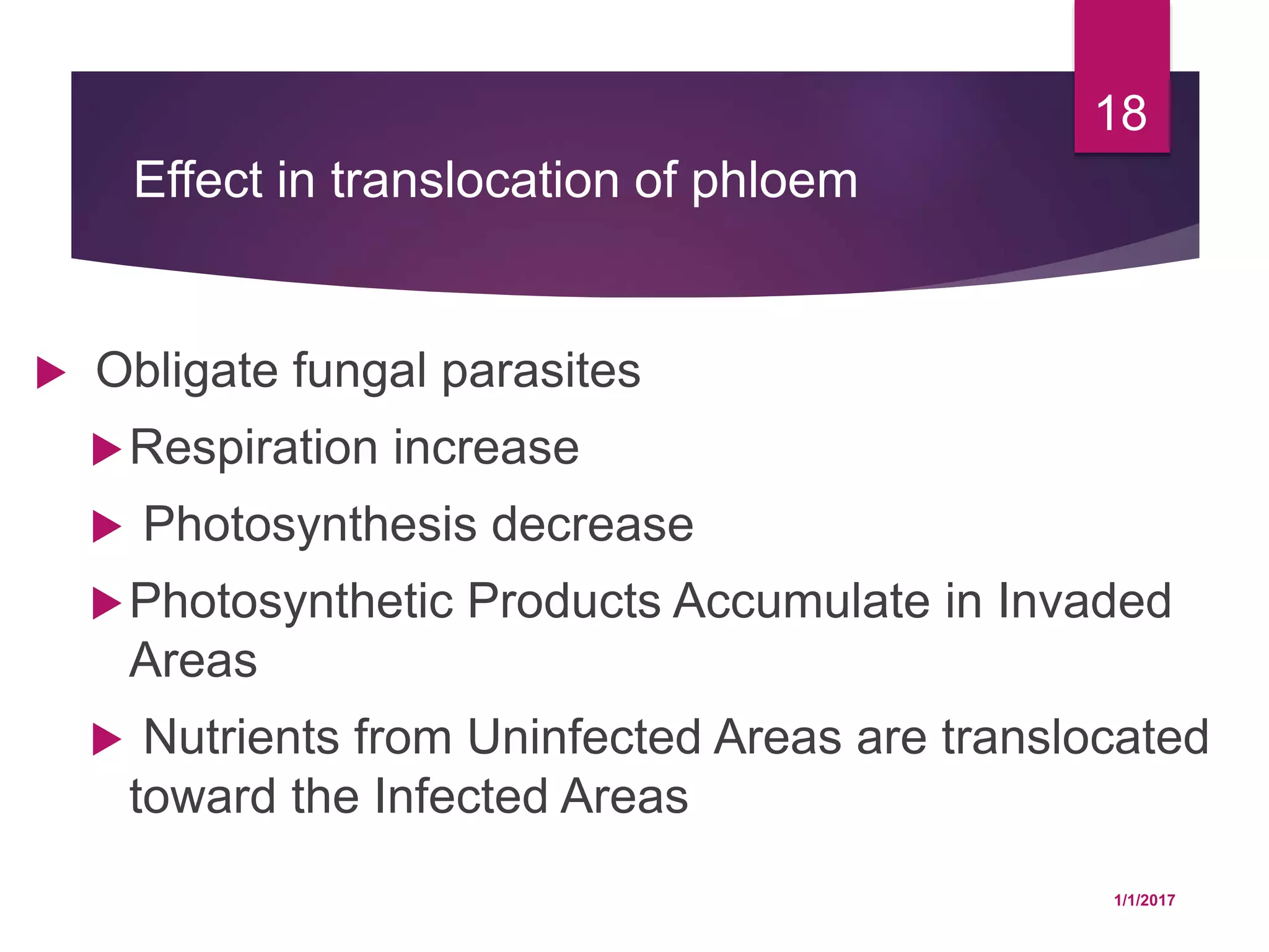 Effect in translocation of phloem
 Obligate fungal parasites
Respiration increase
 Photosynthesis decrease
Photosynthetic Products Accumulate in Invaded
Areas
 Nutrients from Uninfected Areas are translocated
toward the Infected Areas
1/1/2017
18
 