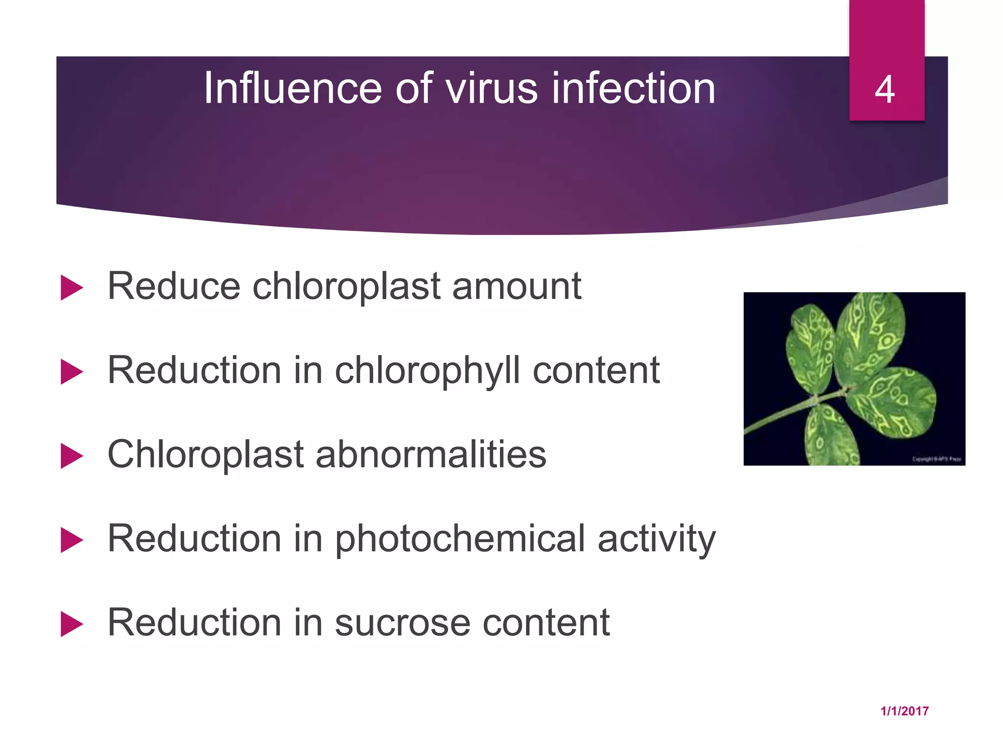 Influence of virus infection
 Reduce chloroplast amount
 Reduction in chlorophyll content
 Chloroplast abnormalities
 Reduction in photochemical activity
 Reduction in sucrose content
1/1/2017
4
 