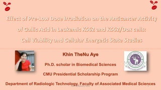 Khin TheNu Aye
Ph.D. scholar in Biomedical Sciences
CMU Presidential Scholarship Program
Department of Radiologic Technology, Faculty of Associated Medical Sciences
1
AMS Symposium, 2022
 