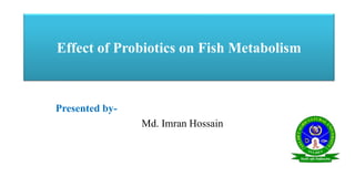 Effect of Probiotics on Fish Metabolism
Presented by-
Md. Imran Hossain
 