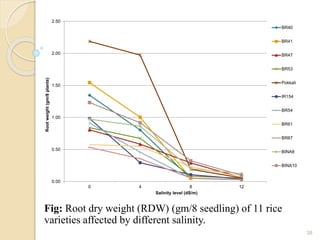 Effect of salinity on seedling growth in early vegetative phase of rice ...