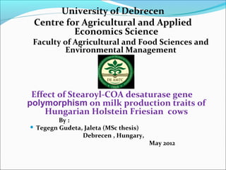 University of Debrecen
 Centre for Agricultural and Applied
          Economics Science
 Faculty of Agricultural and Food Sciences and
         Environmental Management




 Effect of Stearoyl-COA desaturase gene
polymorphism on milk production traits of
    Hungarian Holstein Friesian cows
         By :
 Tegegn Gudeta, Jaleta (MSc thesis)

                Debrecen , Hungary,
                                       May 2012
 