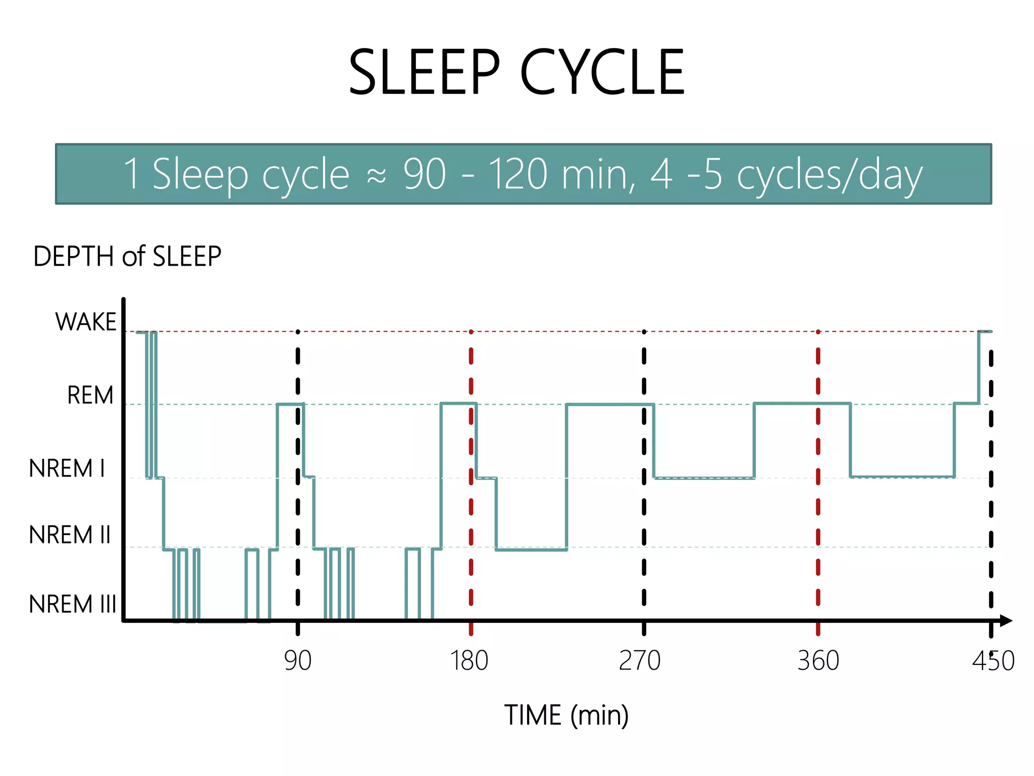 Effect of sleep deprivation on brain | PPTX